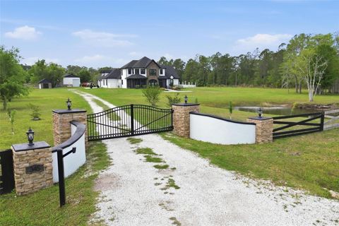 Photo of 345 Cypress Isles Road, Osteen, FL 32764 (MLS # O6401979)