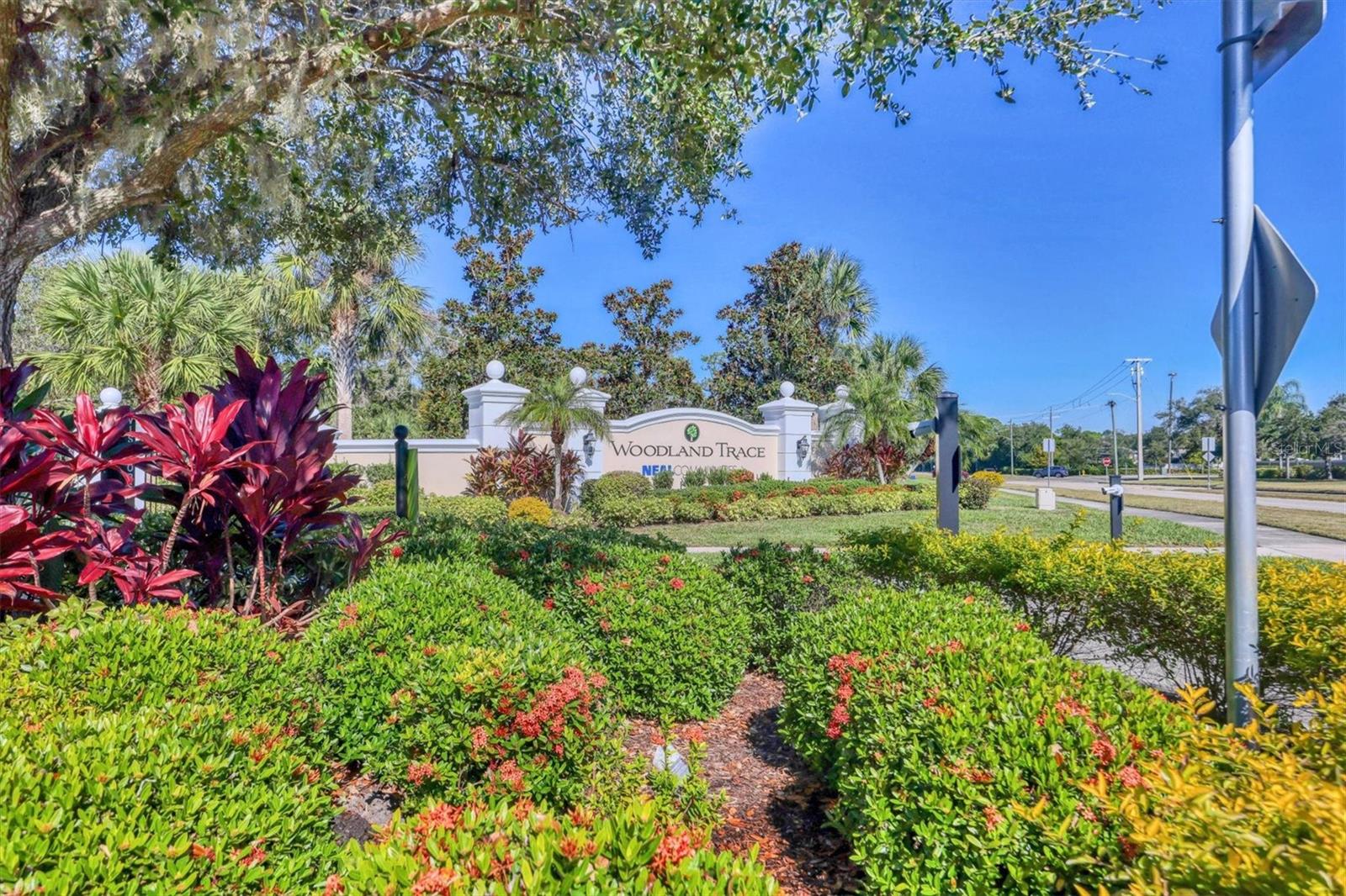 WOODLAND TRACE - Residential