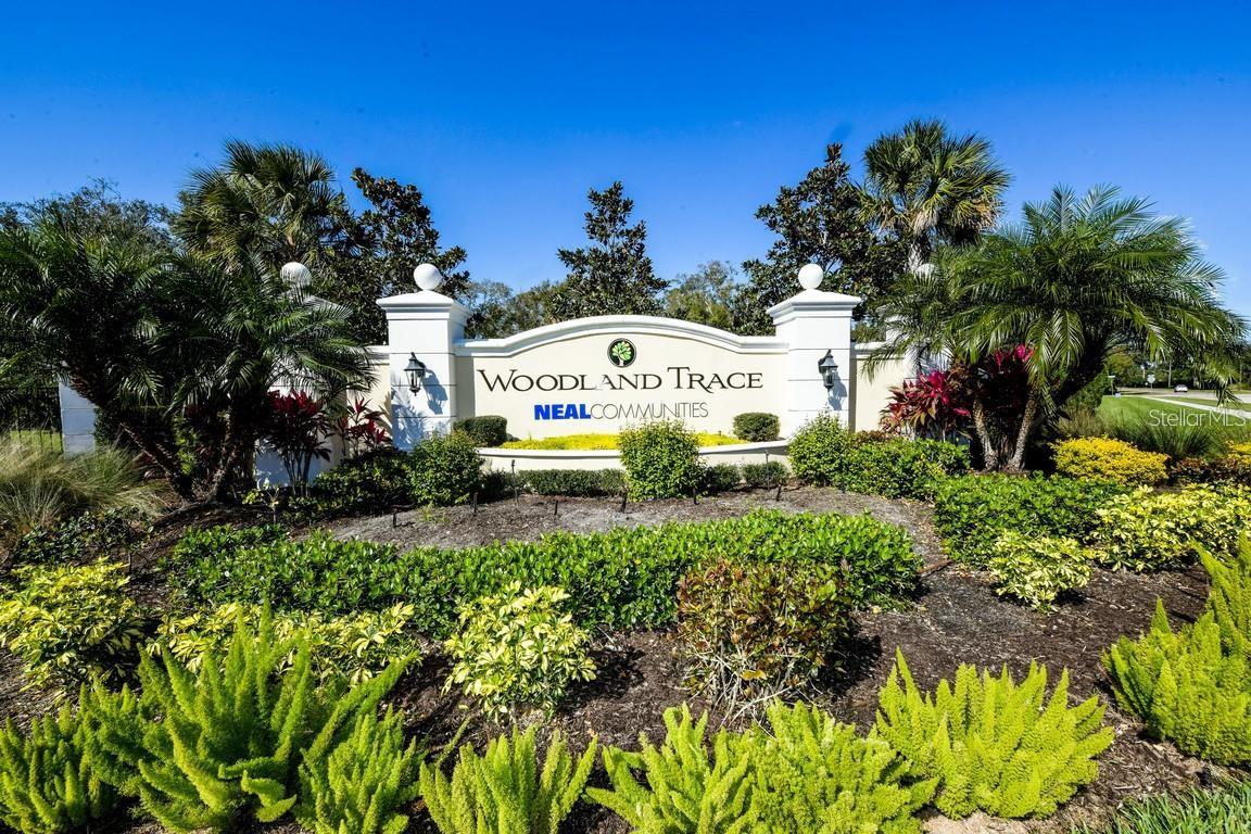 WOODLAND TRACE - Residential