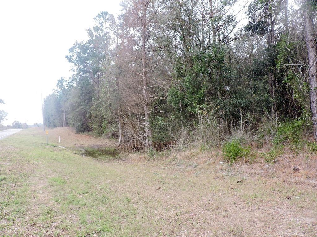 Photo of Tbd N State Road 21, Hawthorne, FL 32640 (MLS # OM718879)