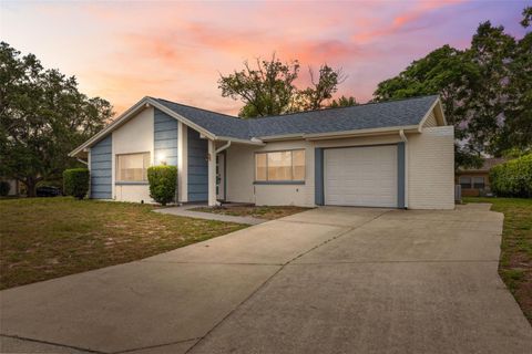 13001 SAWMILL WAY HUDSON FL 34667