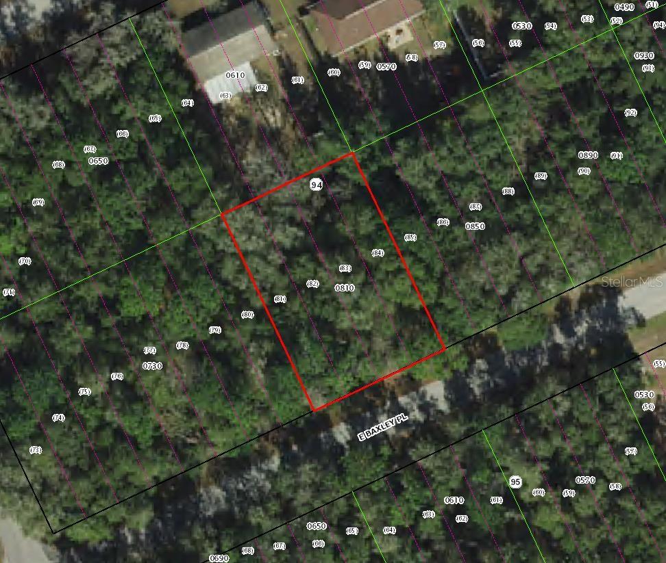 Photo of 3551 E Baxley Place, Inverness, FL 34453 (MLS # TB8552448)
