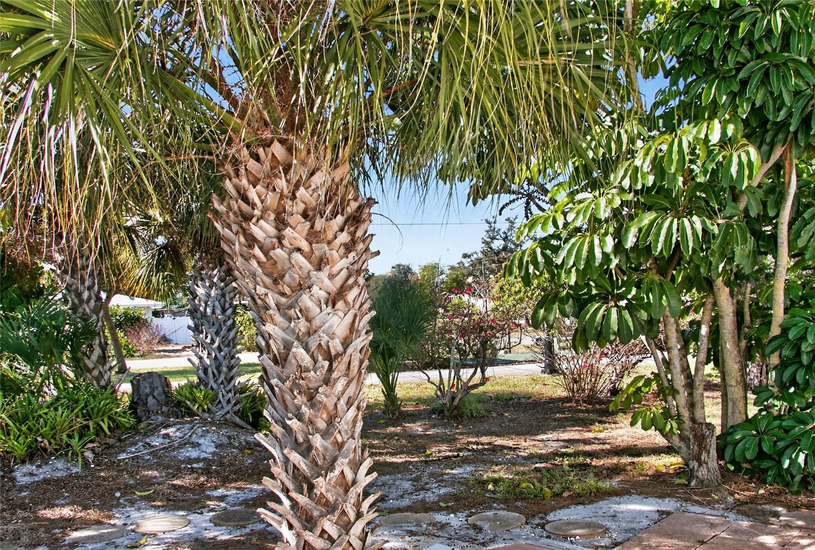 COUNTRY CLUB ESTATES - Residential