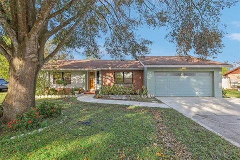 3407 KING GEORGE LANE SEFFNER FL 33584