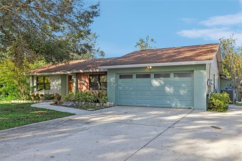 A home in SEFFNER