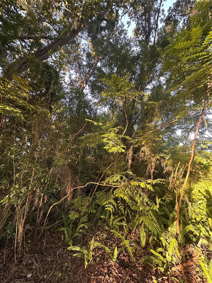 OVEIDA HEIGHTS - Land