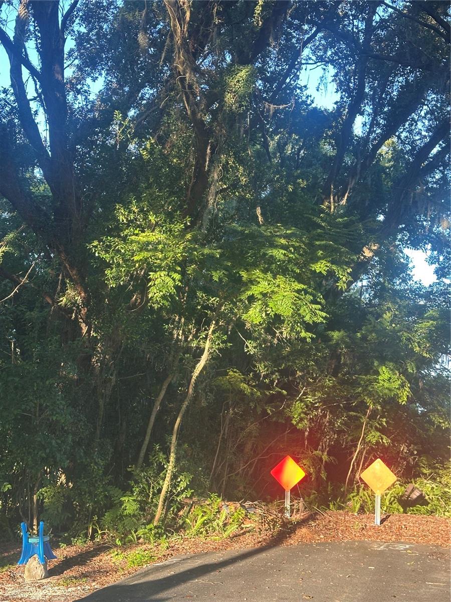 OVEIDA HEIGHTS - Land