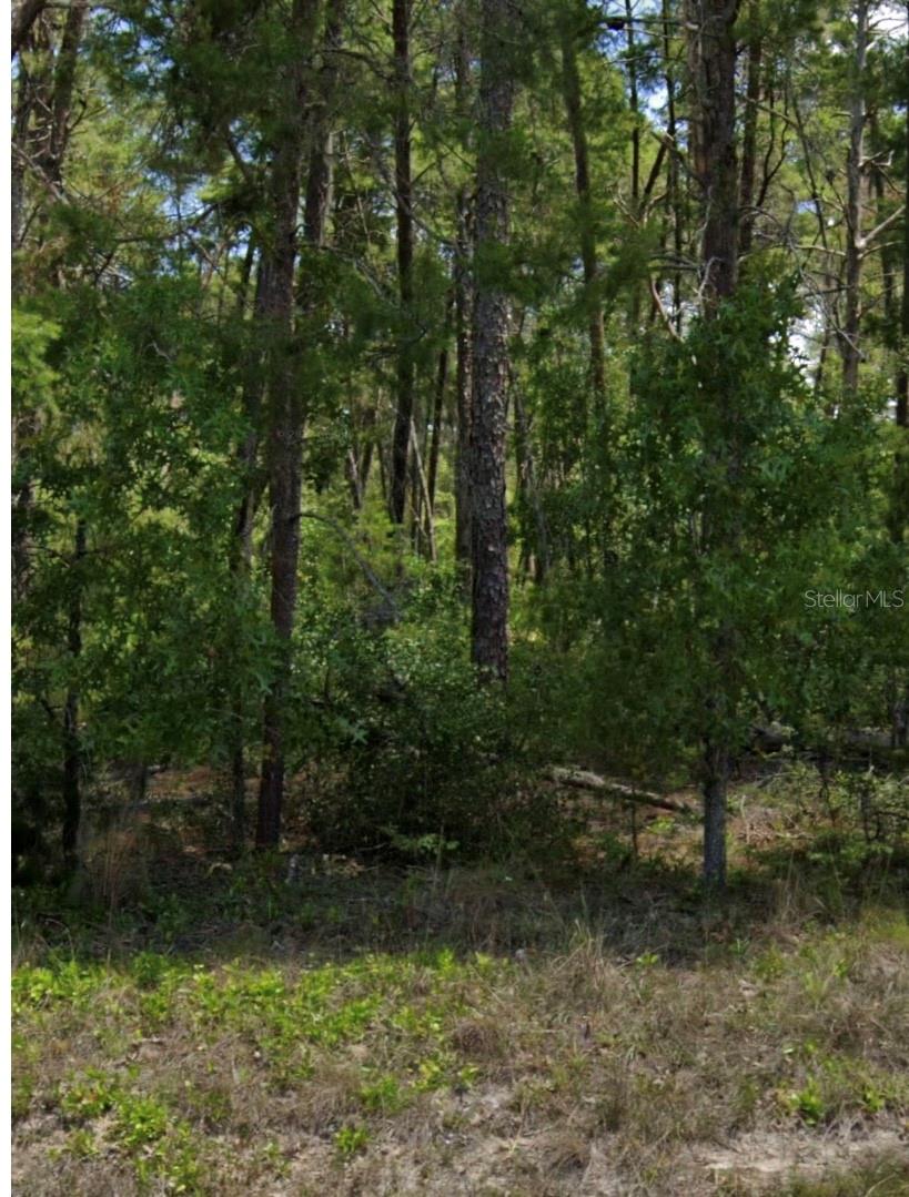 LAKESIDE HILLS - Land