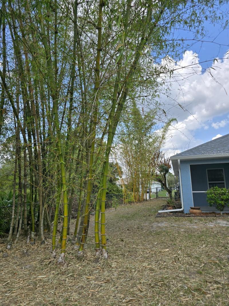 PORT CHARLOTTE SUB 17 - Residential