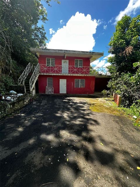 171, km 2.1 BO. RINCON CIDRA  00739