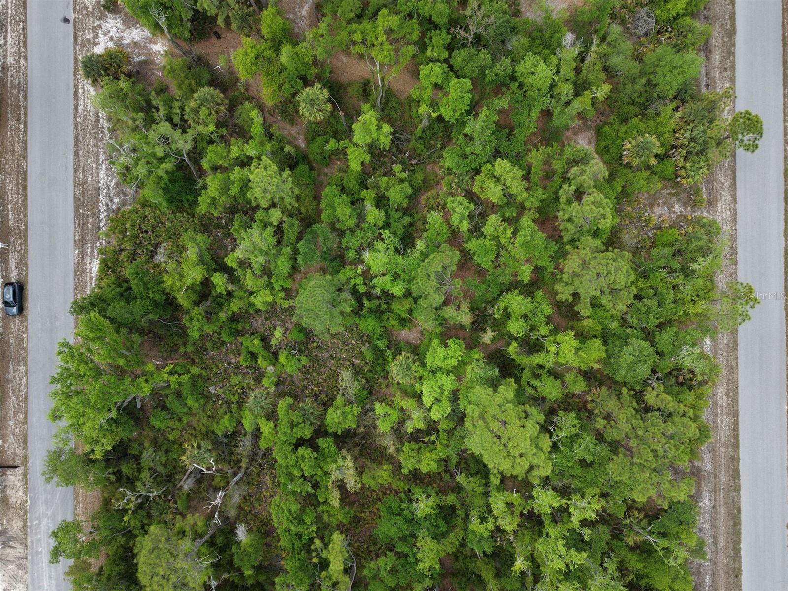 PORT CHARLOTTE SEC 029 - Land