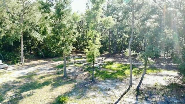 Build Your Dream Home on This Beautiful Cleared Lot with a Well – Not in a Flood Zone! Don’t miss this fantastic opportunity to own a ready-to-build vacant lot that checks all the boxes. This spacious, cleared property offers the perfect canvas for your dream home or investment project. Conveniently not located in a flood zone, you’ll enjoy peace of mind and potential cost savings on insurance. The lot features a professionally installed well, already in place along with a power pole, adding incredible value and convenience for future development. With the land already cleared, much of the groundwork has been done—just bring your plans and start building! Whether you're looking for a serene residential homesite or a smart long-term investment, this property offers the ideal blend of location, value, and readiness. Minutes to Lake Grandin, Public Boat Ramps, and many lakes for boating, fishing, schools, shopping, and restaurants.