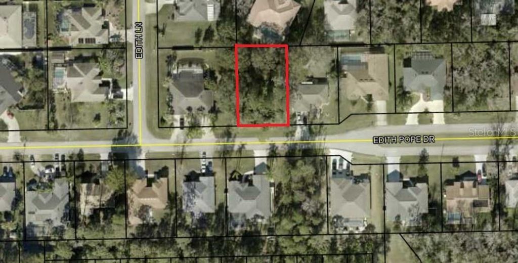 Photo of 38 Edith Pope Drive, Palm Coast, FL 32164 (MLS # FC313166)