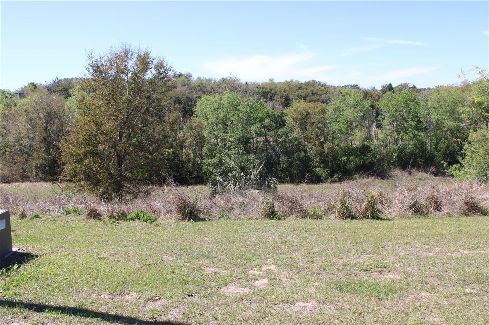 Build Your Dream Home Just Minutes from Downtown Eustis! Tucked away in a peaceful neighborhood yet only moments from the heart of Eustis, this prime just under 1/4-acre vacant lot is the perfect opportunity to bring your vision to life. With no HOA, no builder restrictions, and no time limit to build, you can create the home you’ve always imagined—on your terms and your timeline. Underground city utilities are already in place for easy development, and you’ll love the subtle peekaboo view of Lake Dot—a serene touch of nature right from your future yard. Just minutes from Eustis High School and all the dining, shopping, and entertainment of downtown, this location offers both convenience and quiet. Lots like this are rare—come walk the property and imagine the possibilities. Schedule your showing today!