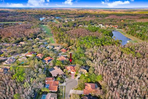 A home in OLDSMAR