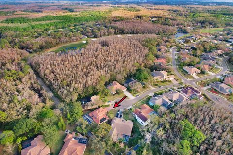 A home in OLDSMAR