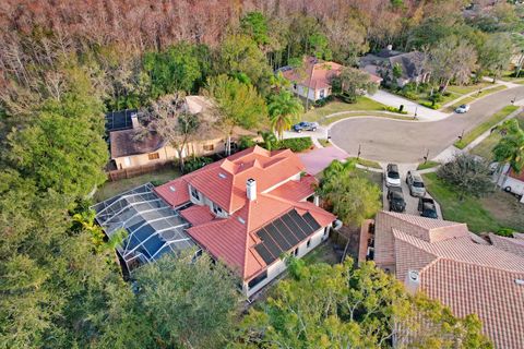 A home in OLDSMAR