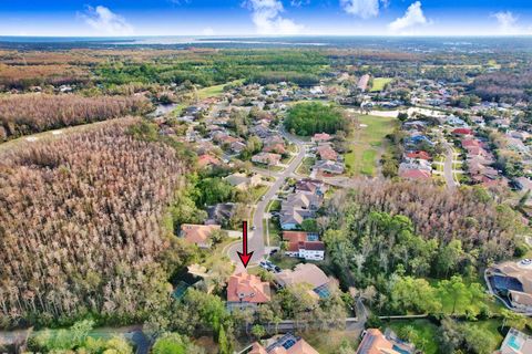 A home in OLDSMAR