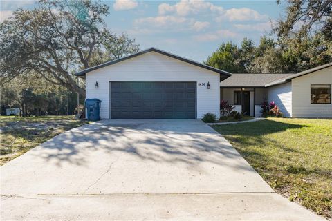 8436 CAMEO STREET SPRING HILL FL 34608