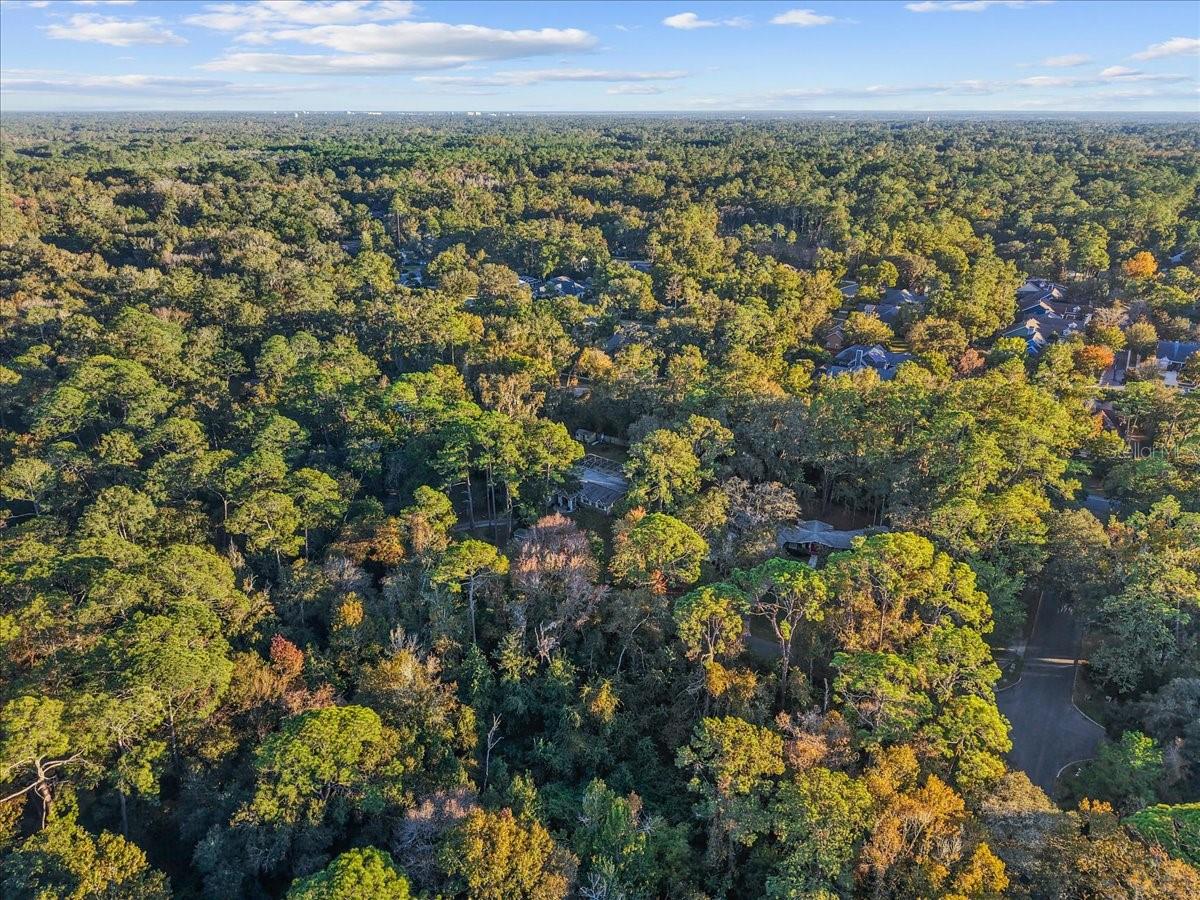 SPRING FOREST - Residential
