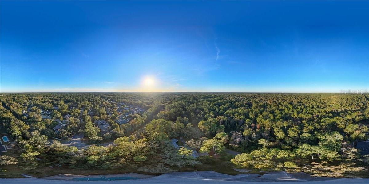 SPRING FOREST - Residential