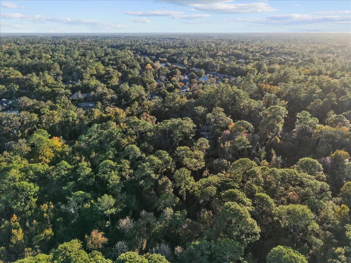 SPRING FOREST - Residential