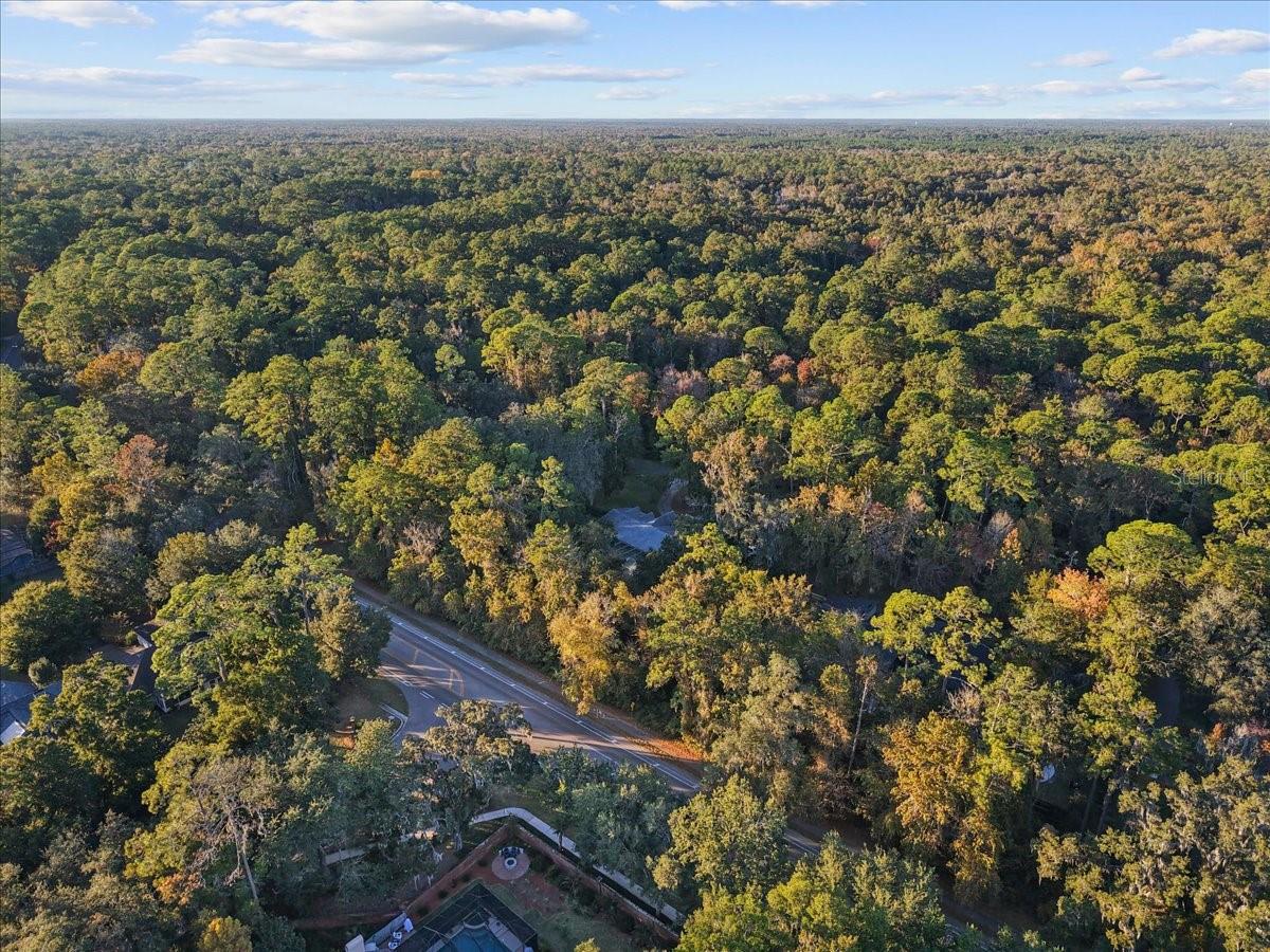SPRING FOREST - Residential