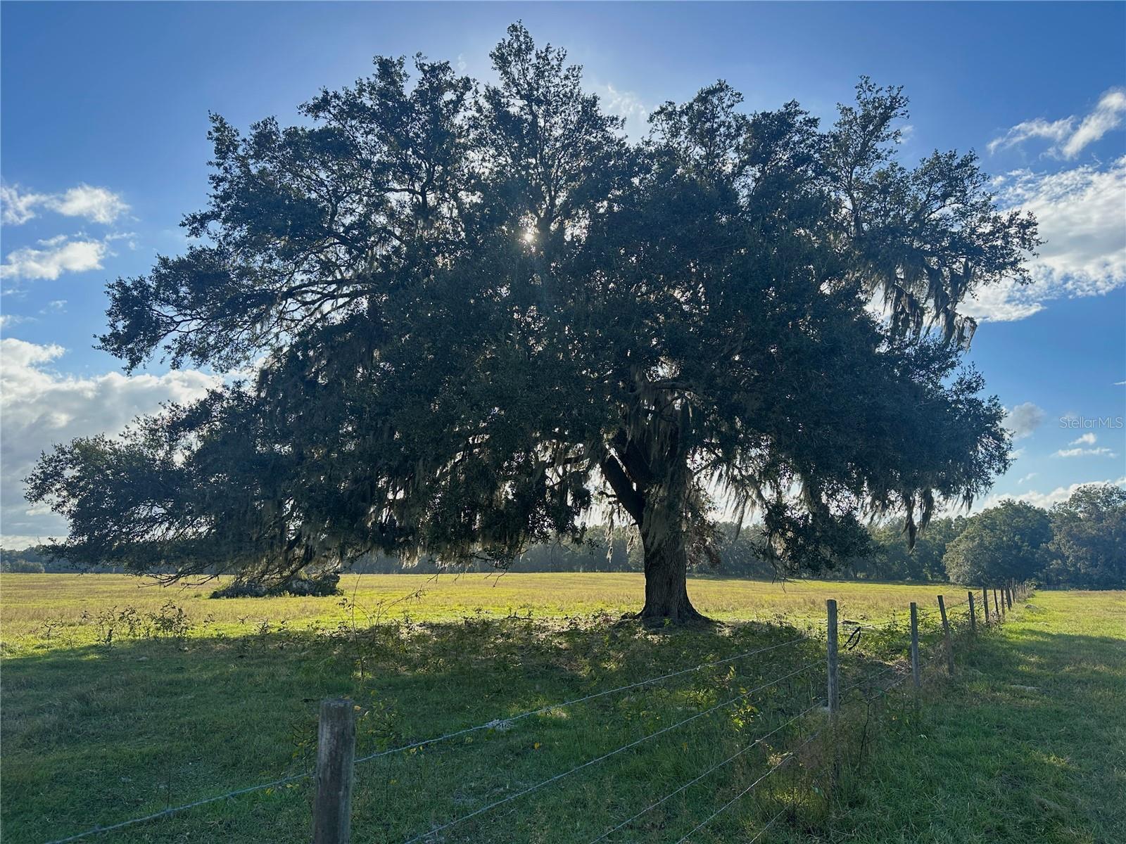 SW 215TH AVENUE