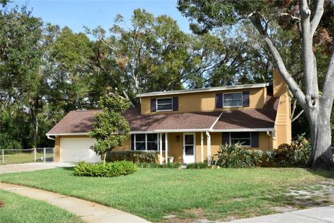 A home in CLEARWATER