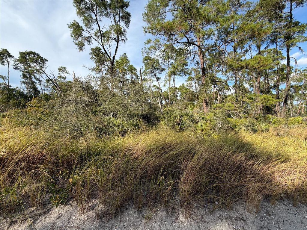 Photo of 478 Darter Avenue, Sebring, FL 33870 (MLS # O6366377)