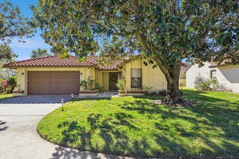 Photo of 8215 Rolla Court, Orlando, FL 32836 (MLS # O6373820)