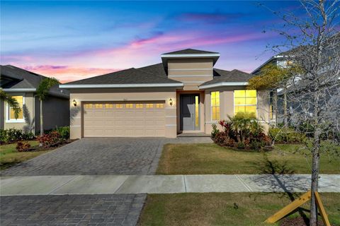 A home in APOLLO BEACH