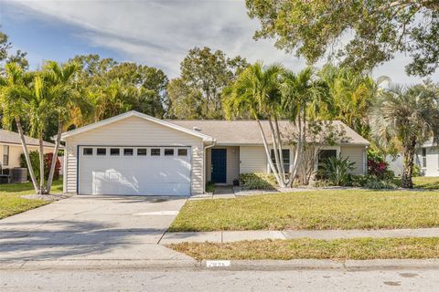 271 SWEETGUM COURT PALM HARBOR FL 34683