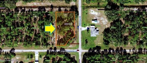 3250 PLUMOSA DRIVE INDIAN LAKE ESTATES FL 33855