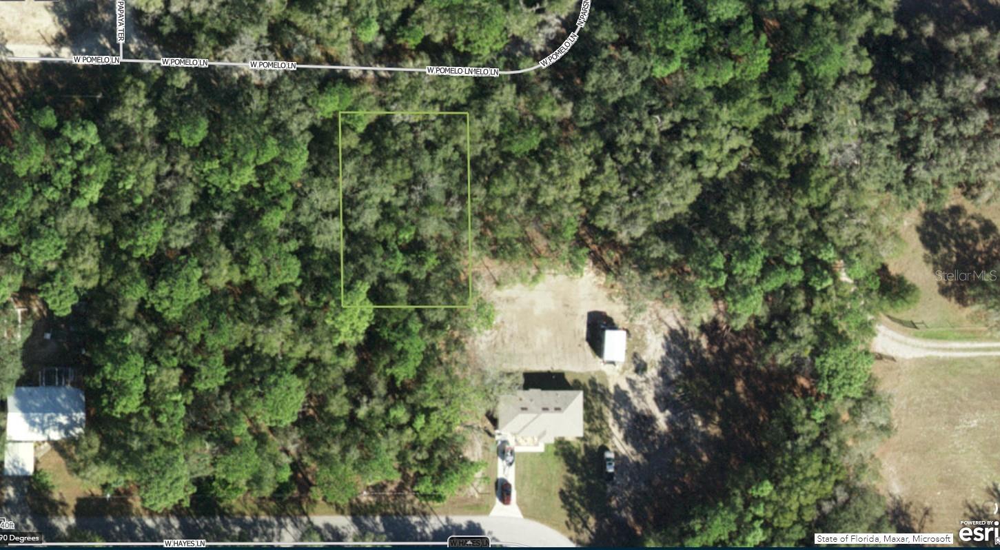 A VACATNT LOT IN CRYSTAL RIVER IN CITRUS COUNTY!!!
