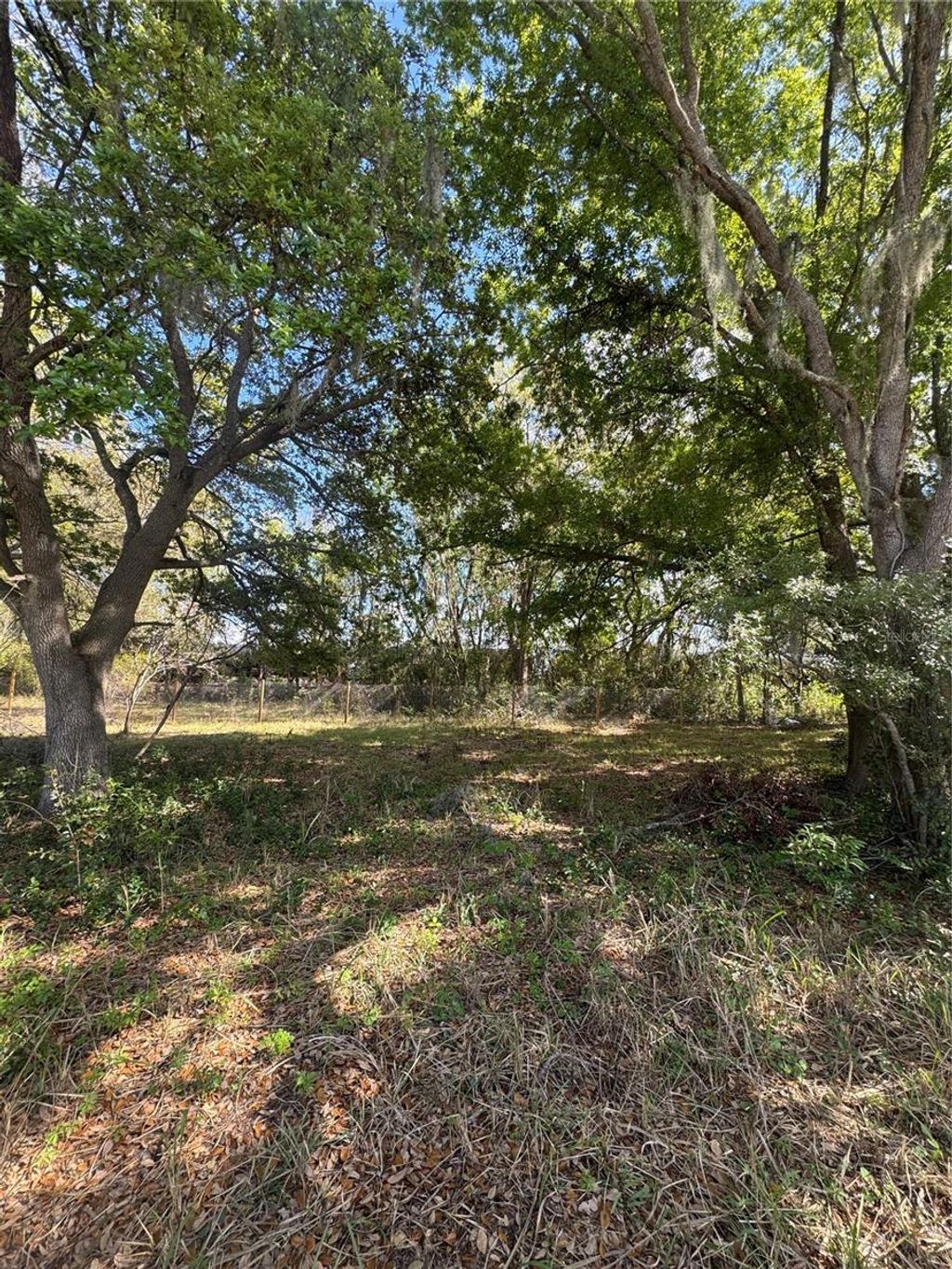 Photo of 0 Denmark Street, Bartow, FL 33830 (MLS # L4960790)