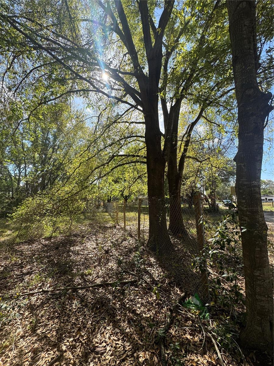 JOHNSONS J H SUB - Land