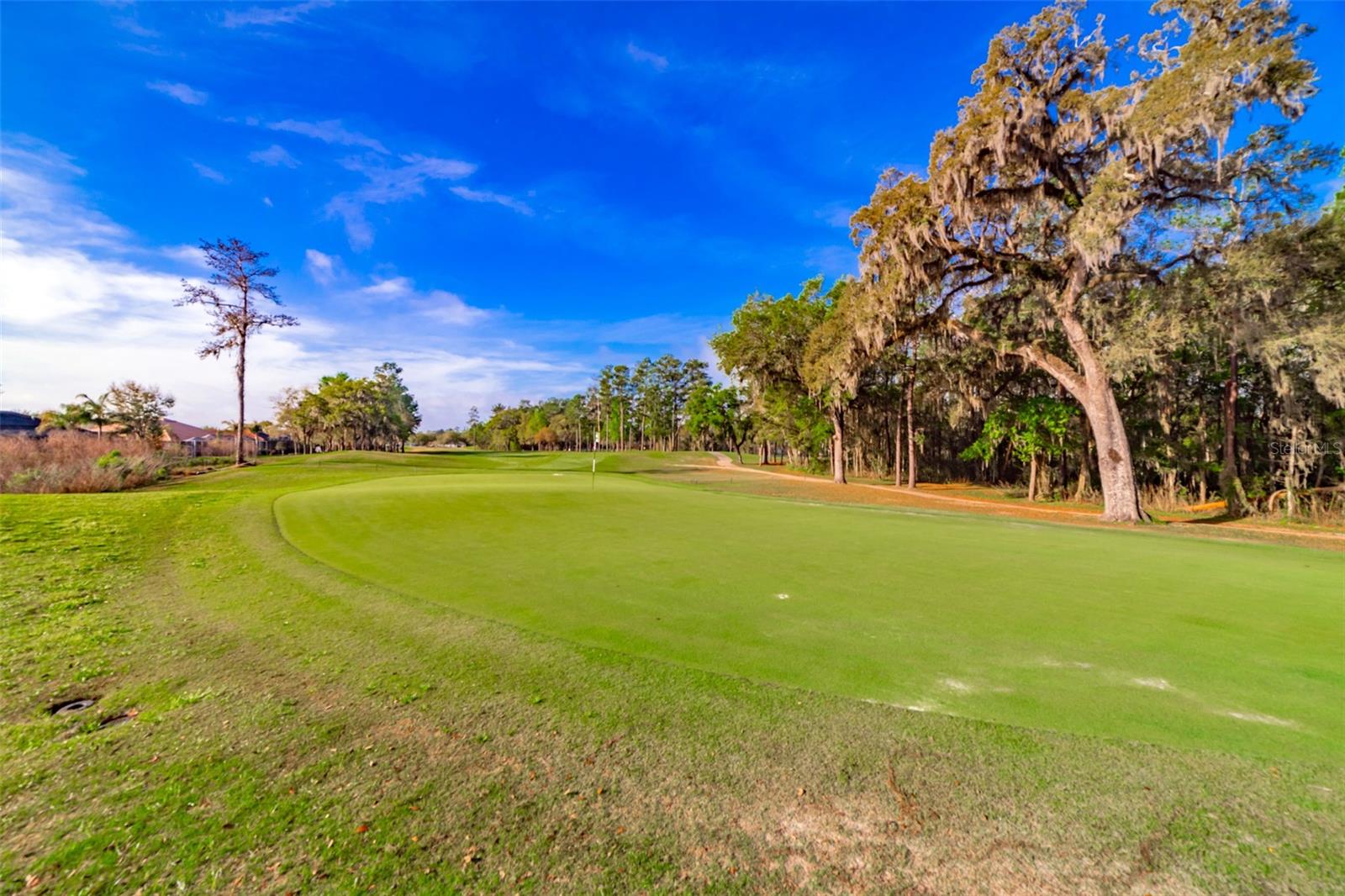 HERNANDO OAKS PH 1 - Residential