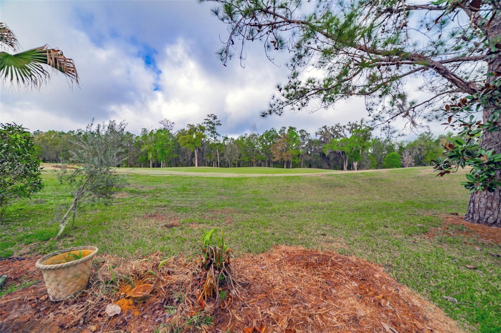 HERNANDO OAKS PH 1 - Residential