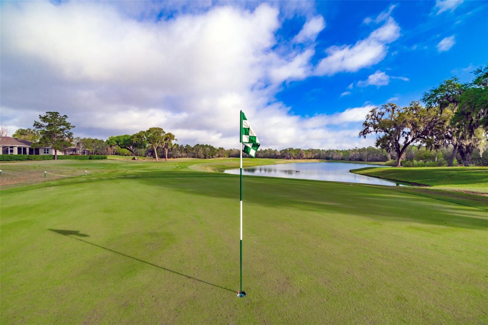 HERNANDO OAKS PH 1 - Residential