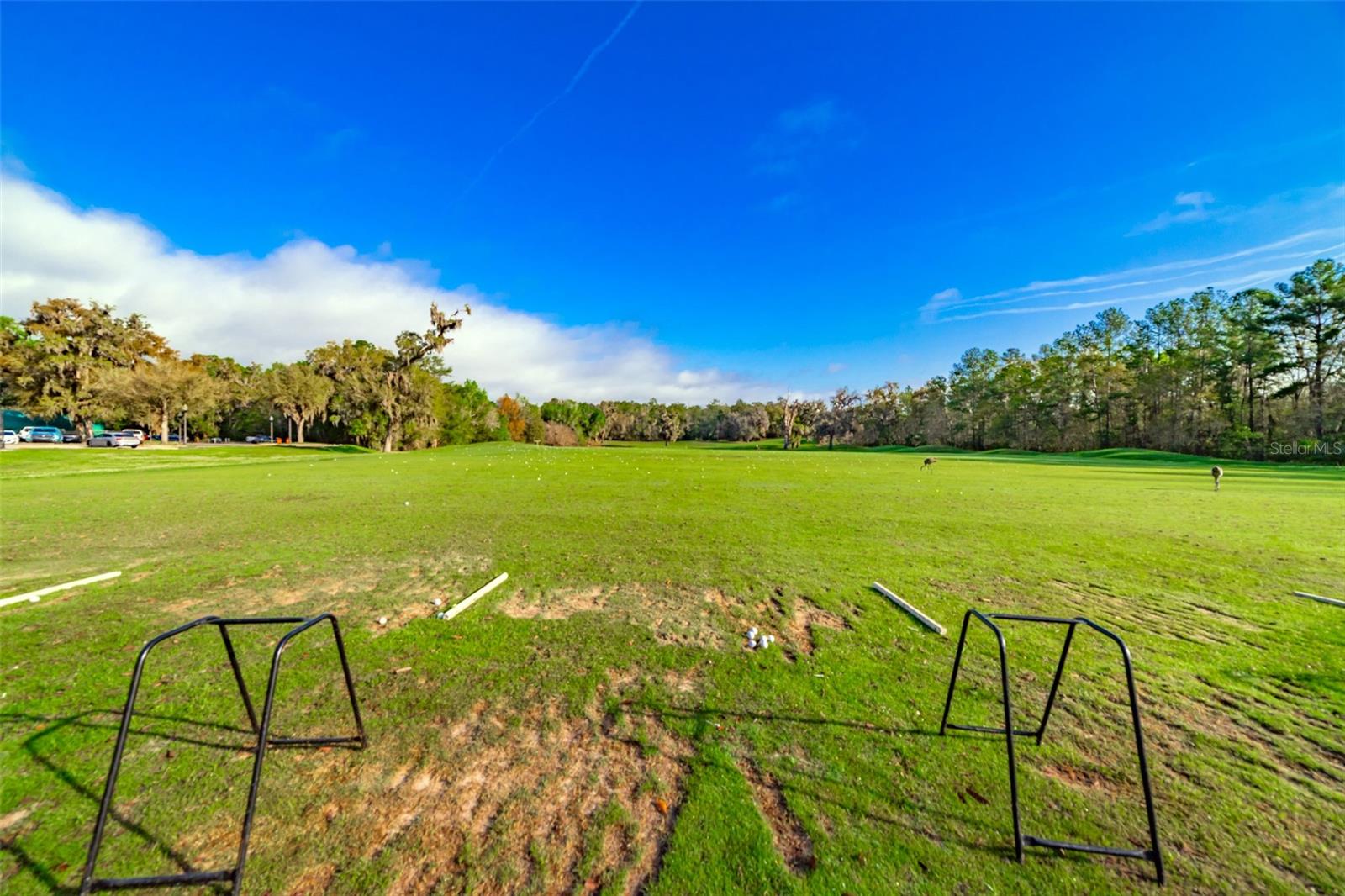 HERNANDO OAKS PH 1 - Residential