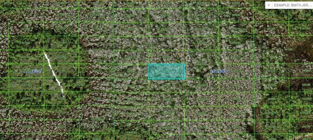 Photo of N/A, Polk City, FL 33868 (MLS # O6227968)