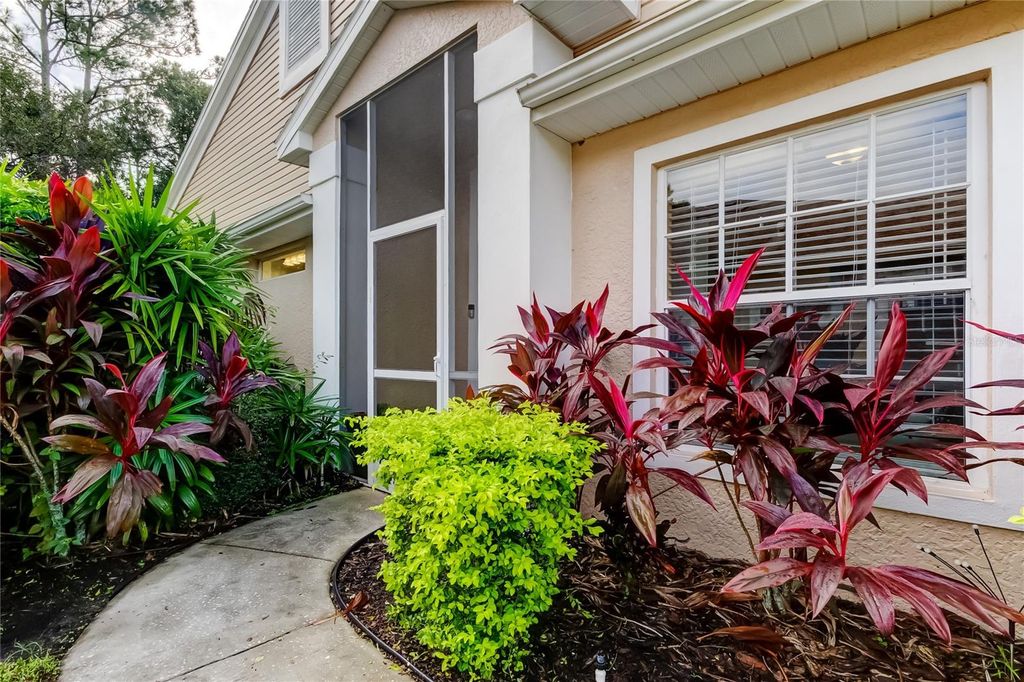 Photo of 4409 Connery Court, Palm Harbor, FL 34685 (MLS # TB8436356)