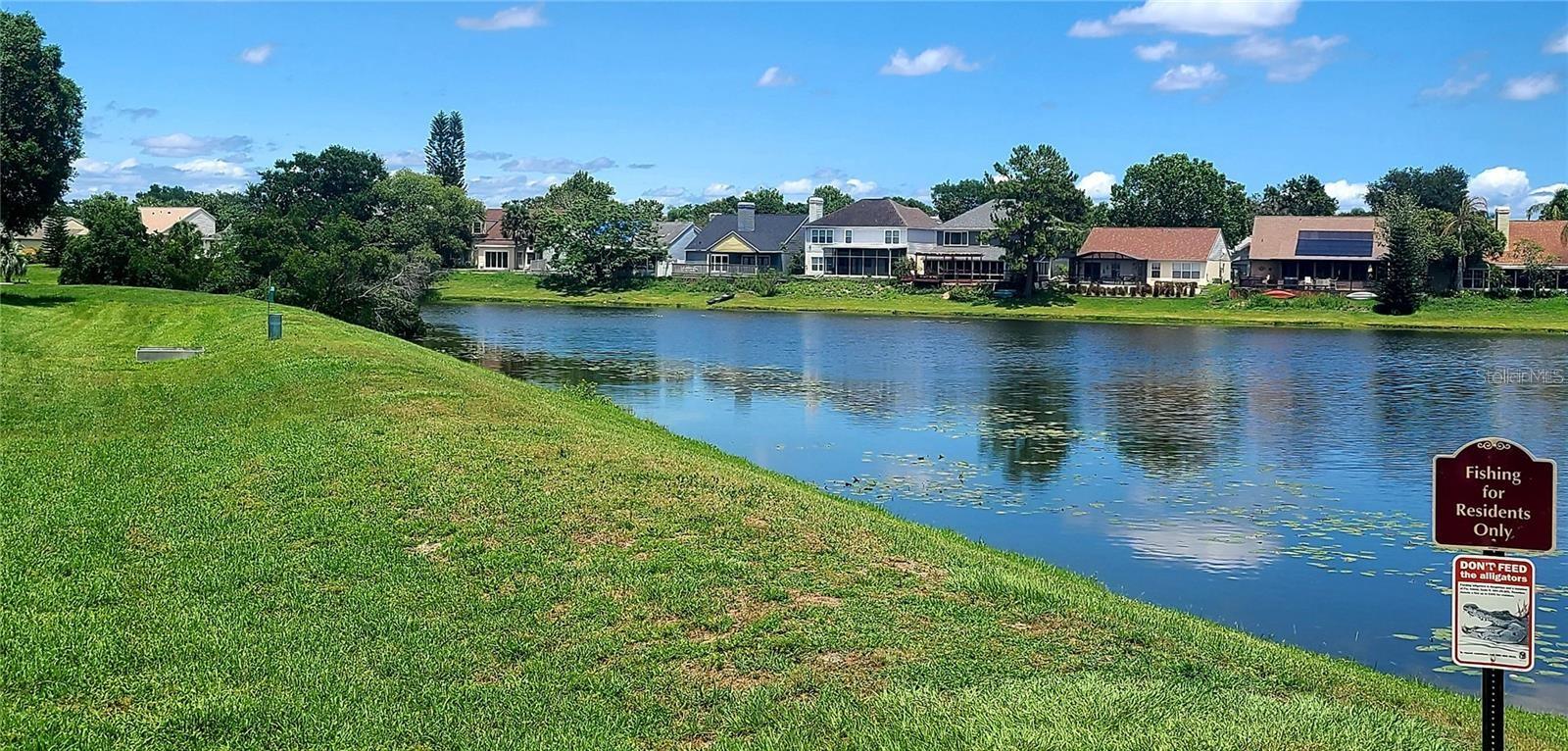 REGENCY PARK AT LAKE MARY A CONDO - Residential