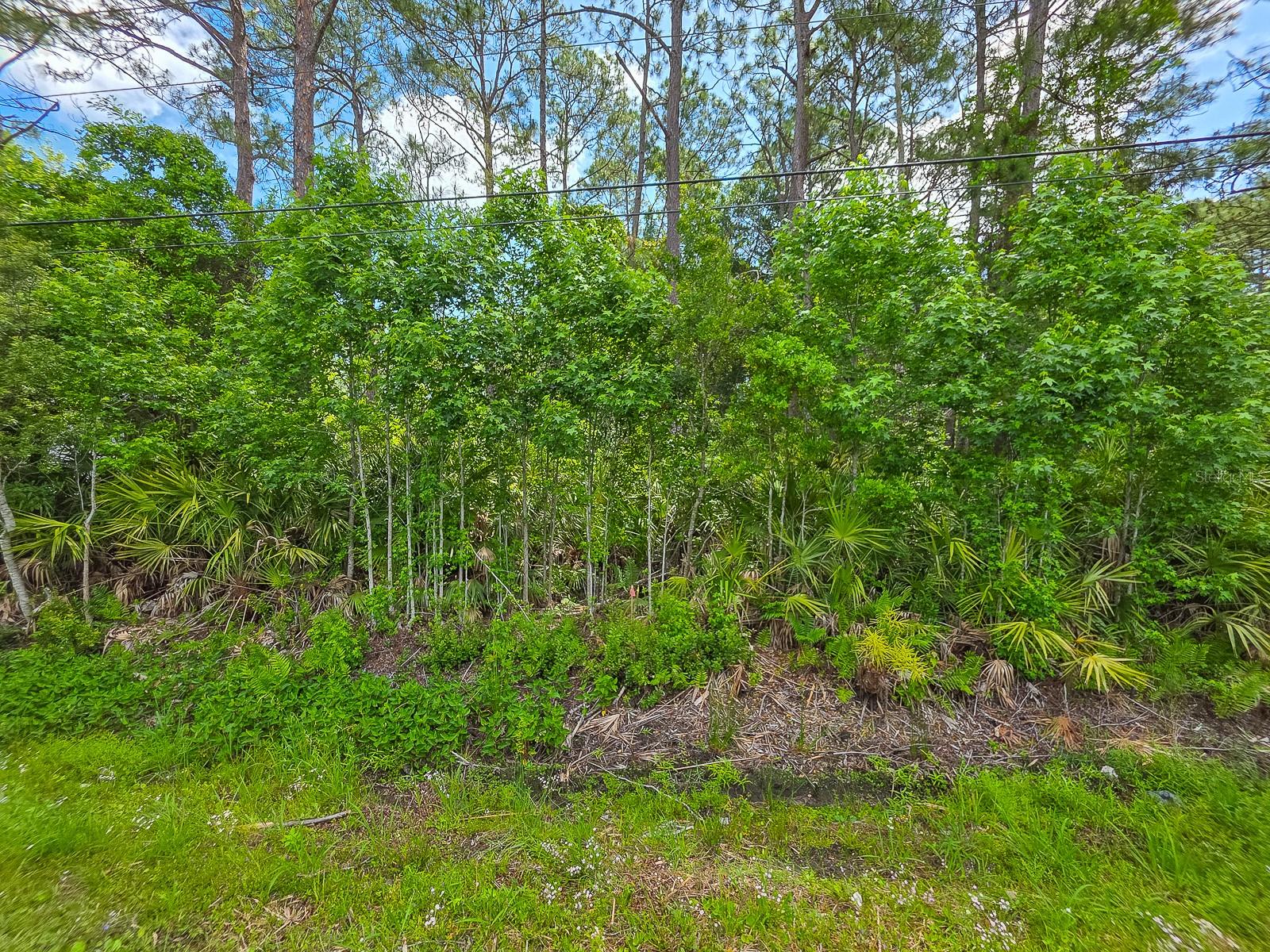 COMMERCIAL HIGHLANDS UNPLATTED TRACT B - Land
