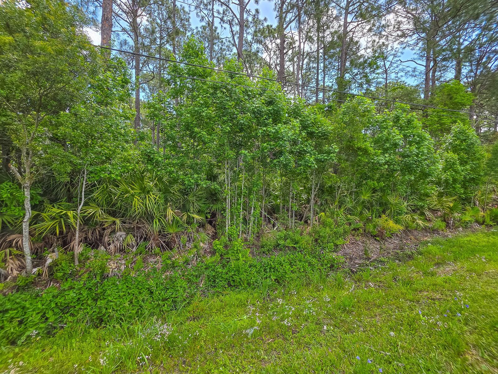 COMMERCIAL HIGHLANDS UNPLATTED TRACT B - Land