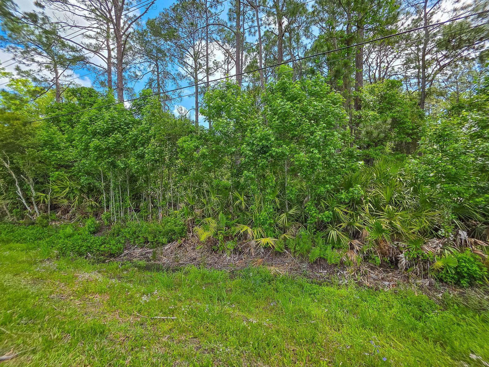 COMMERCIAL HIGHLANDS UNPLATTED TRACT B - Land
