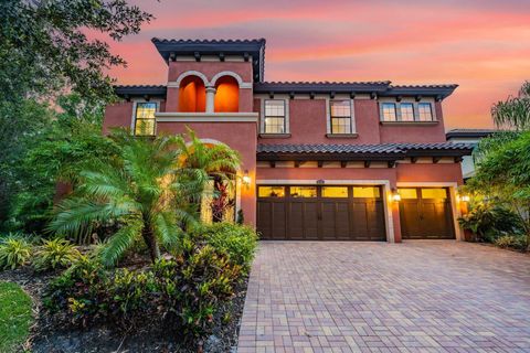 A home in LAND O LAKES