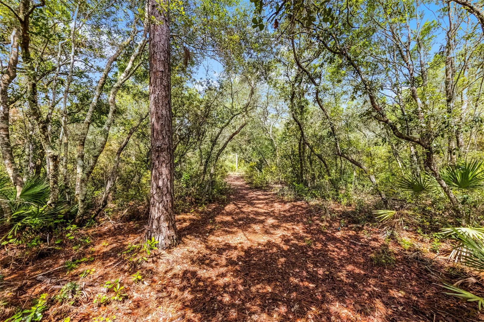 43041 JEWELL DRIVE