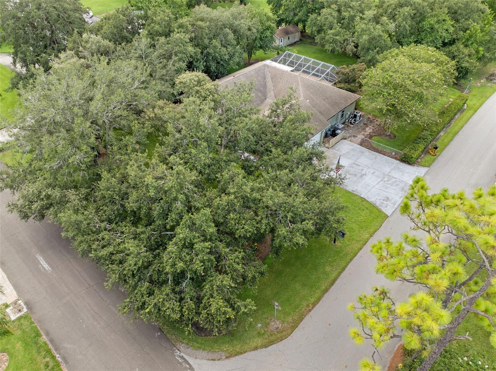 SPRING PINES - Residential